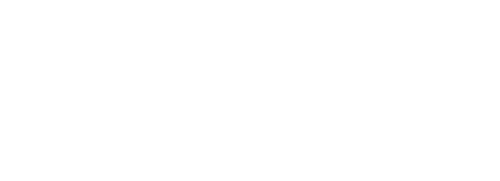 Vendor Diversity Report Logo